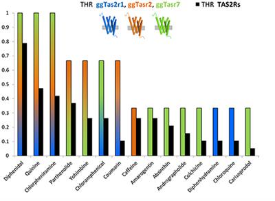 Molecular Features Underlying Selectivity in Chicken Bitter Taste Receptors